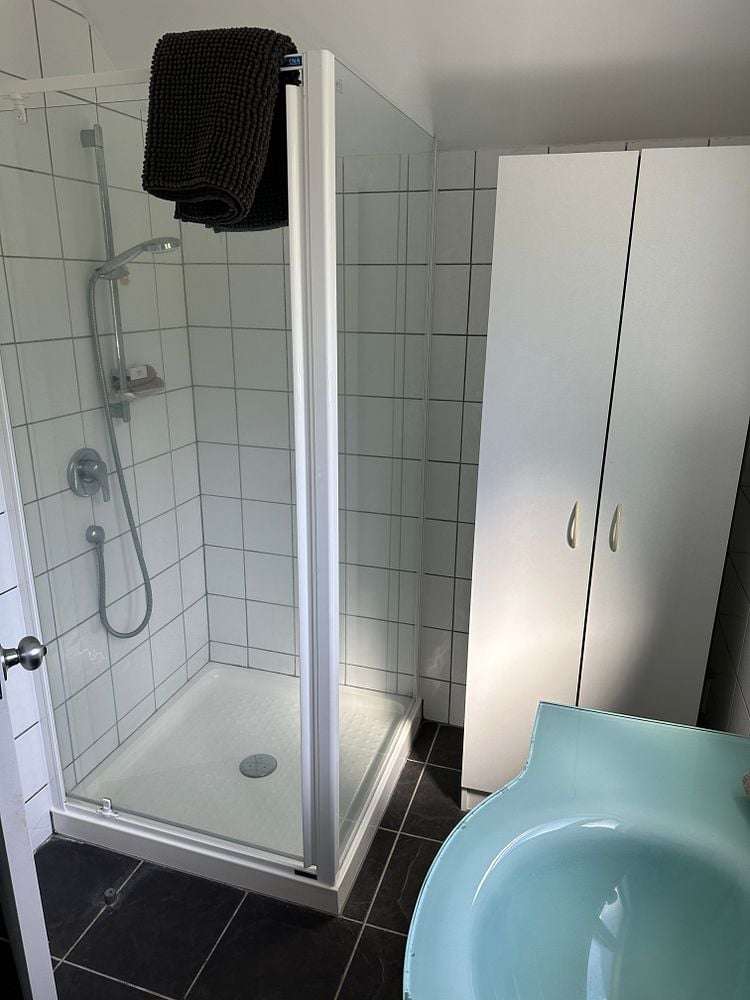 18 Lower Watt Street Wadestown_5