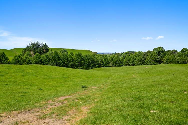 286 Jay Road Reporoa and Surrounds_14