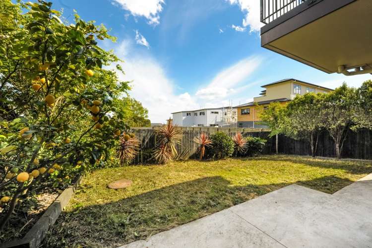 27c New Windsor Road Avondale_6