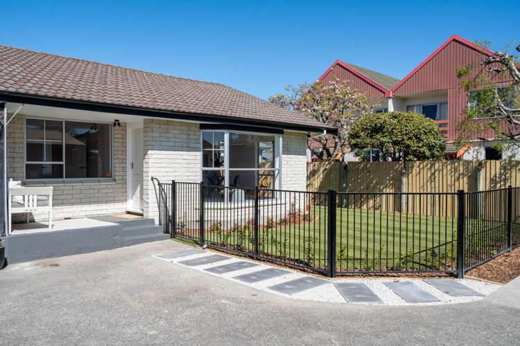 38 Young Street Somerfield_21