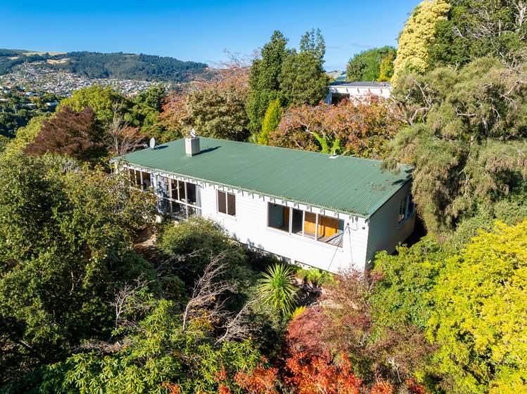 61 Braeview Crescent Maori Hill_25
