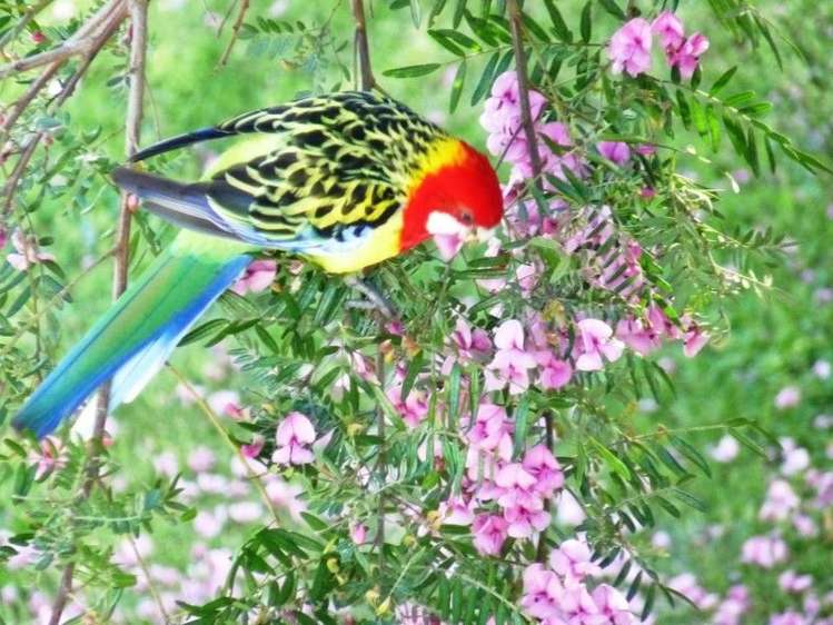 20 Derham Road Te Horo_12