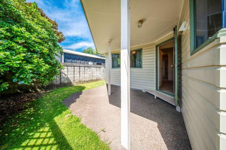 723C Cameron Road Tauranga South_16