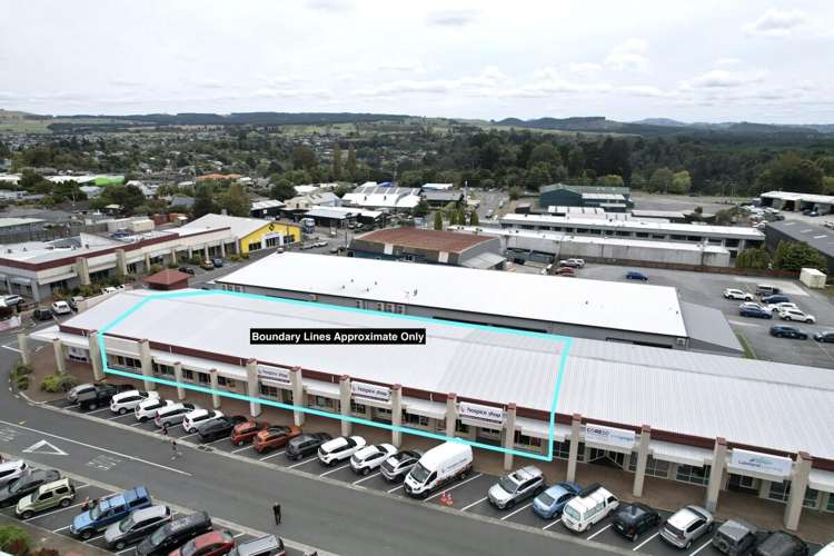 29 Totara Street_0