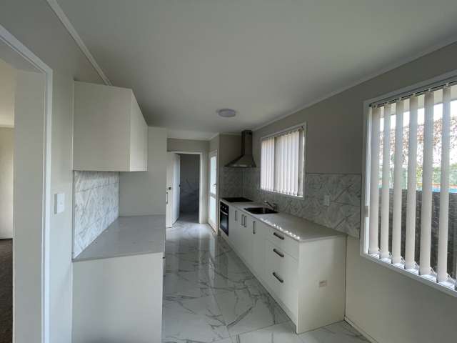 22 Dairy Road Otara_2