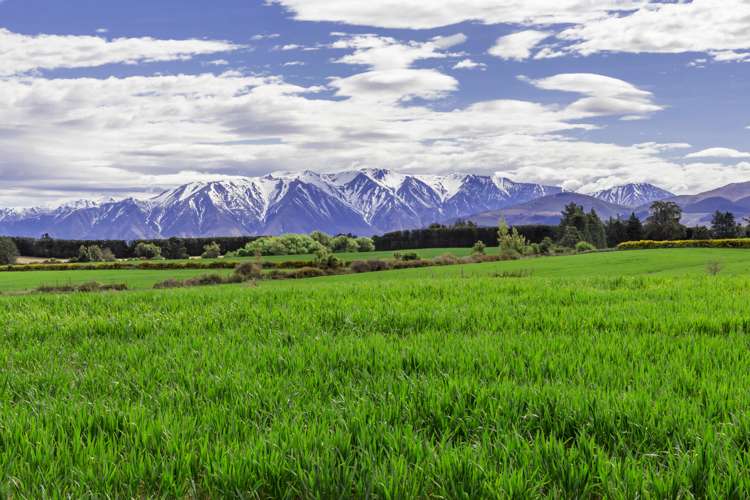 789 Downs Road Hororata_0