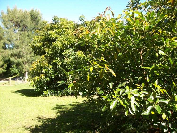 52 Wolseley Road Hauraki Surrounds_21