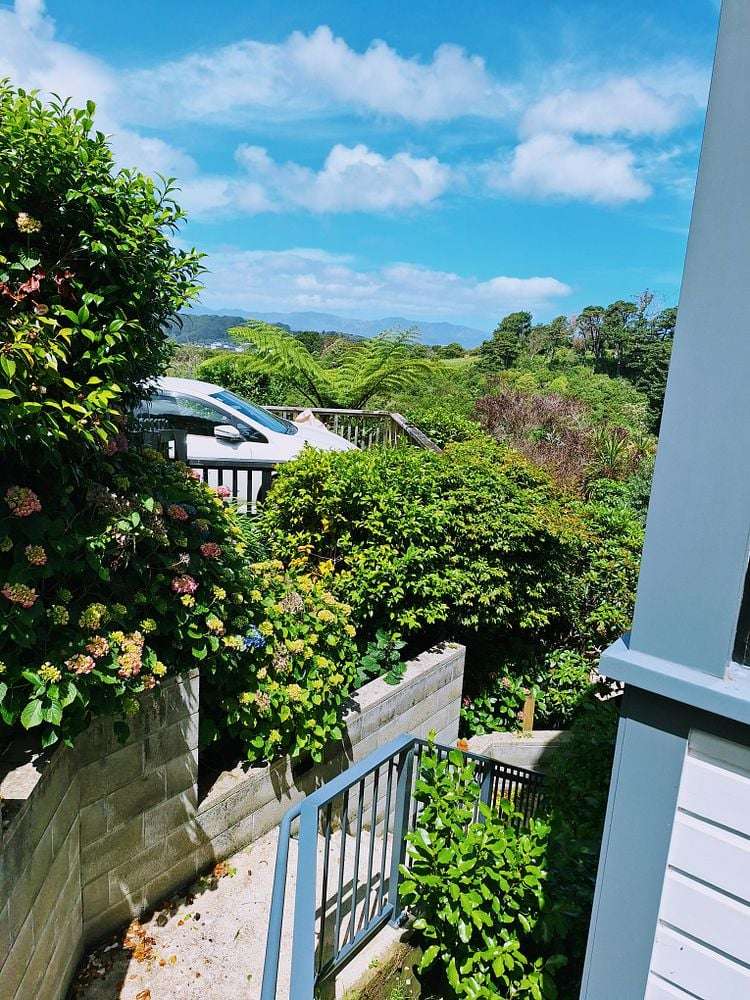 21A Mortimer Terrace Aro Valley_20