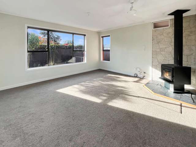 104A George St Tinwald_4