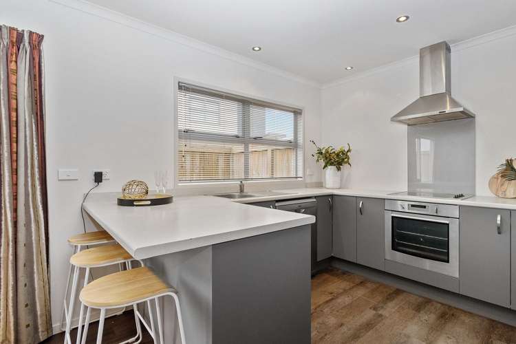 27D Greensboro Street Hamilton East_3