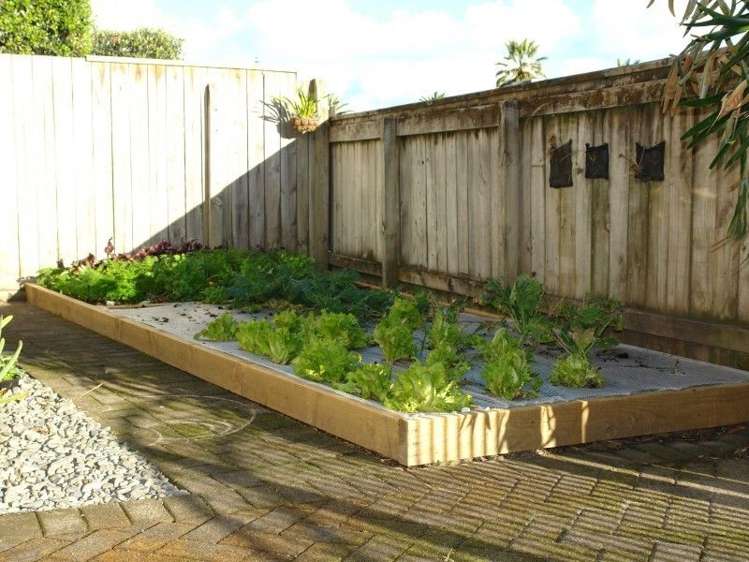 6b May Street Mount Maunganui_13