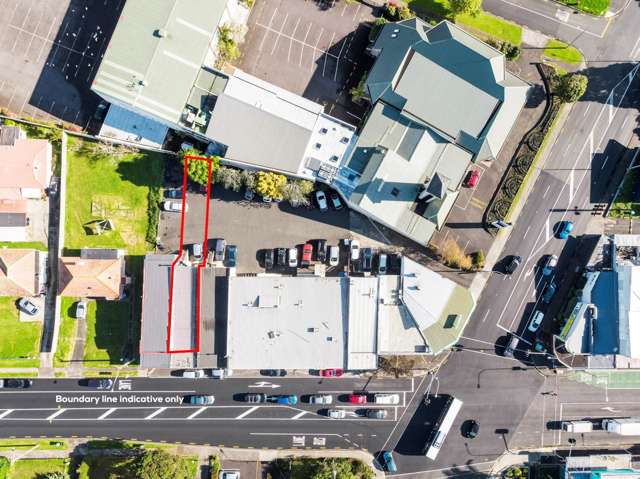 1017A Dominion Road Mt Roskill_2