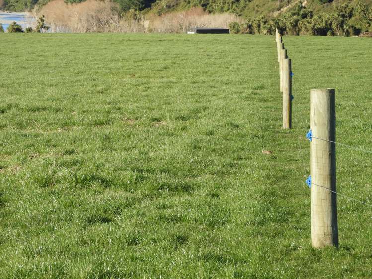 400 Keens Road Springfield_11