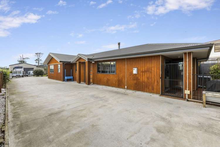 15A Carthew Street ōkato_1