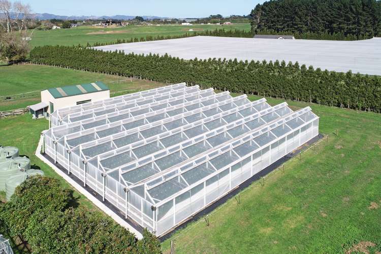 66 Marae O Rehia Road Waiuku_16