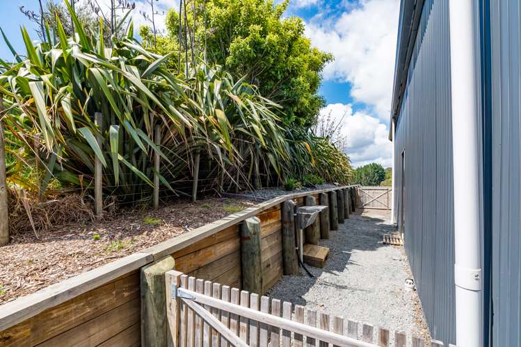 316 Waiotoi Road Ngunguru_13