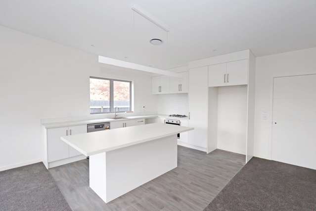67 Robertson Street Richmond_3