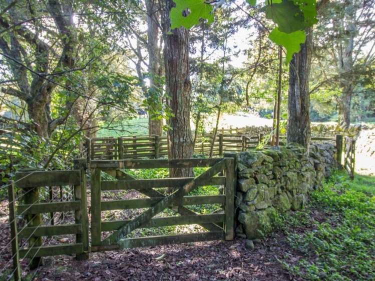 304 Mangakahia Road Maungatapere_17