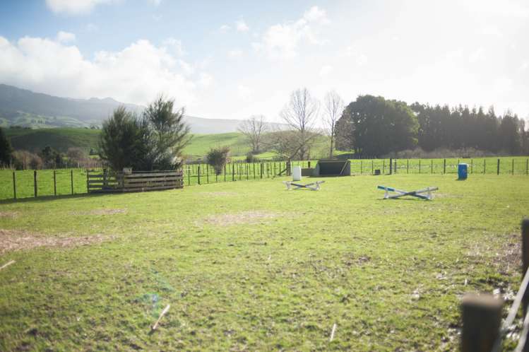 105 O'Shea Road Pirongia_7