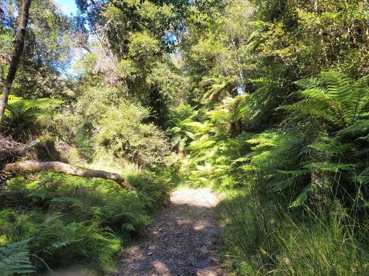 254 Doughboy Road Kokatahi_32