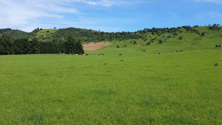 2000 Hillfoot Road Catlins Surrounds_22