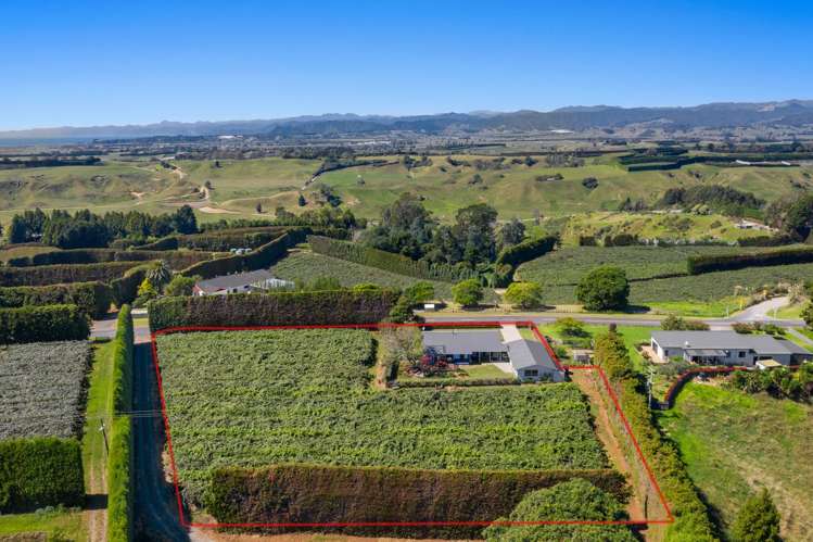 494 Paerata Ridge Road Opotiki and Surrounds_30