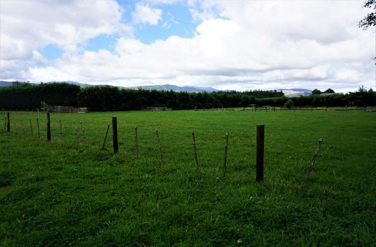 378 Tararua Road Levin_22