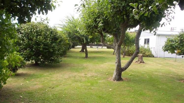 20 Princes Street Temuka_2