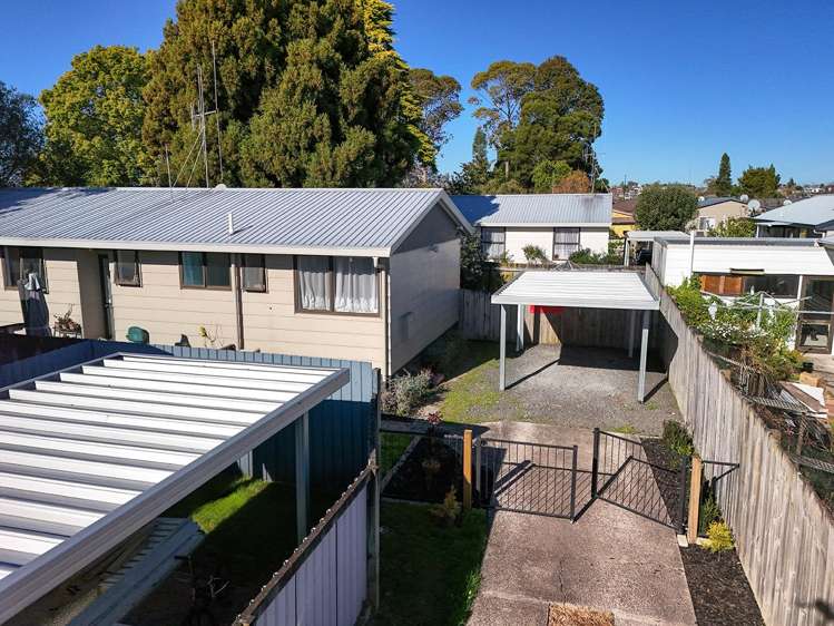 25B Dominion Road_1
