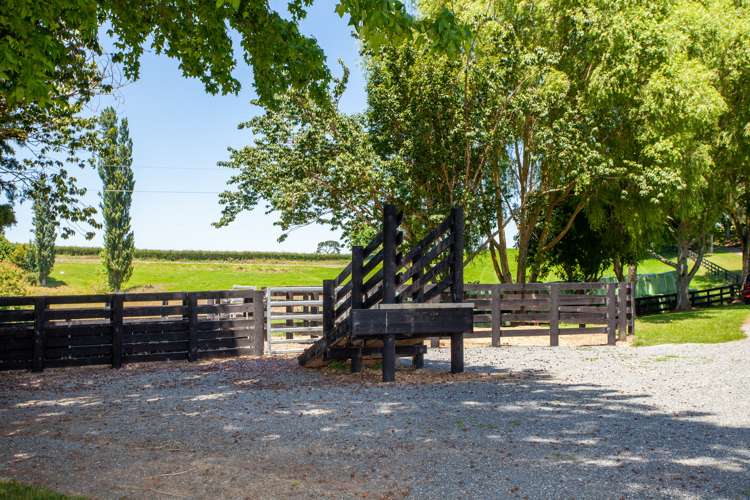 328 Buckland Road Matamata_17