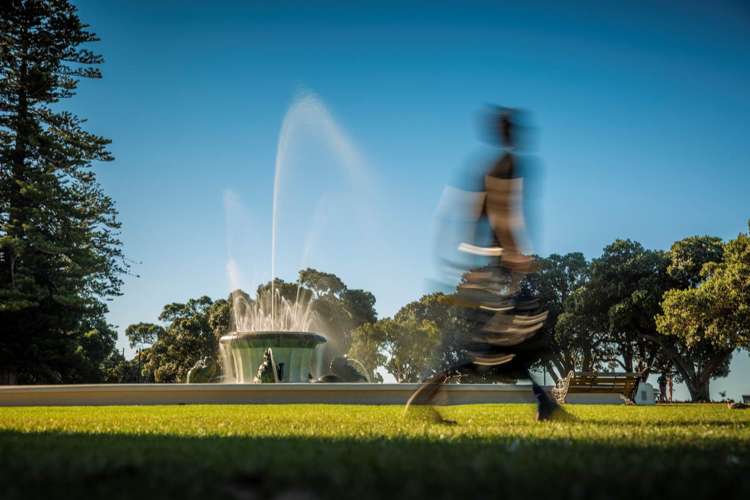 50B Comins Crescent Mission Bay_32