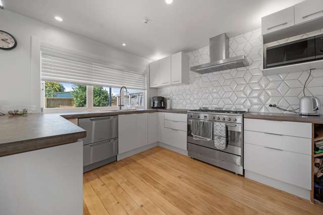 182 Nixon Street Hamilton East_4