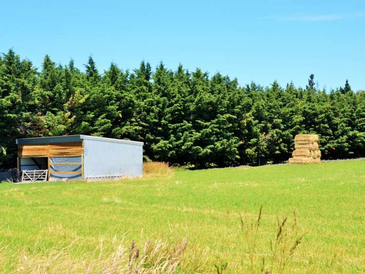 185 Lawcocks Road Amberley_12