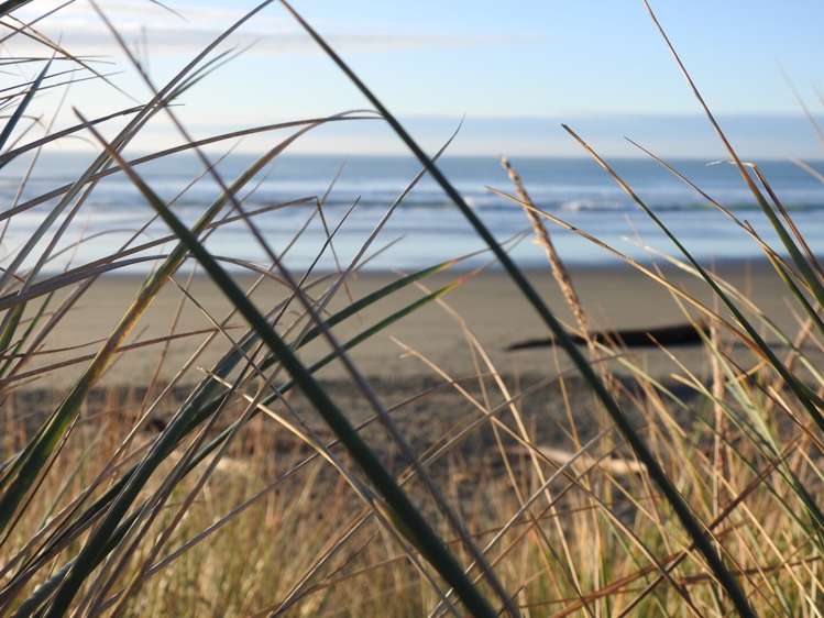 26 Pegasus Main Street Pegasus_25