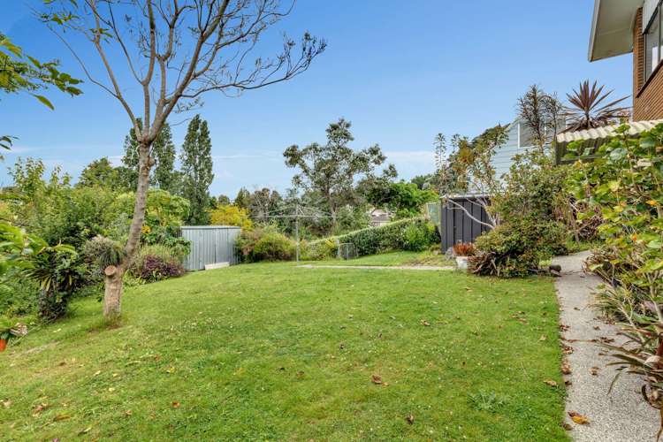 82 Greerton Road Gate Pa_14