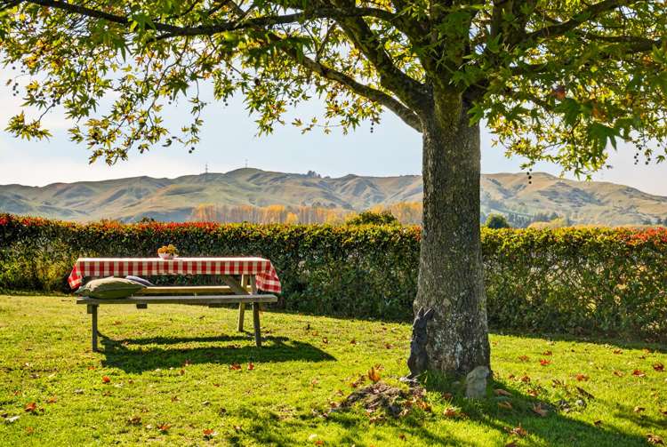 22 Breckenridge Lane Puketapu_19
