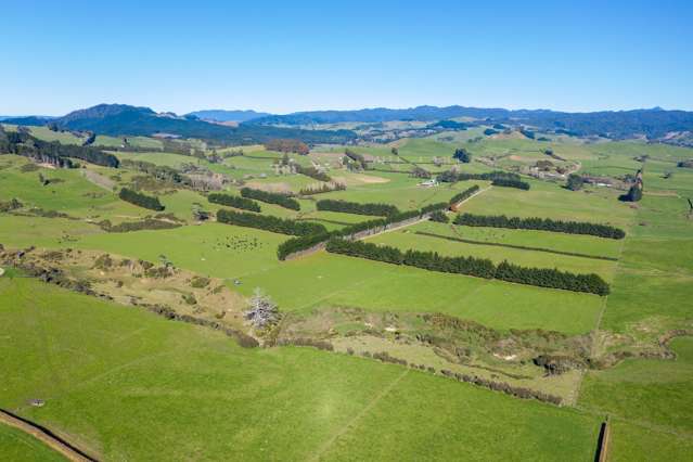 87 Mathers Road Waihi_4