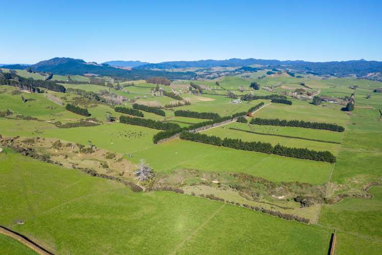 87 Mathers Road Waihi_4