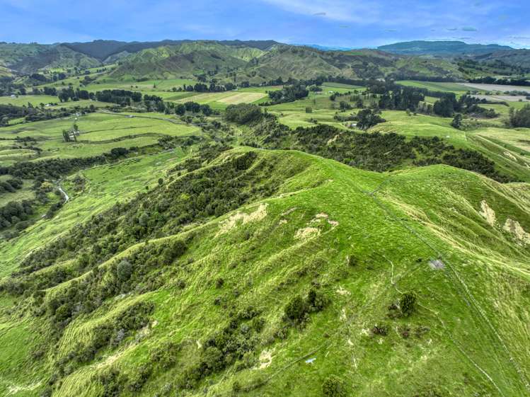 851 Awamate Road Frasertown_5