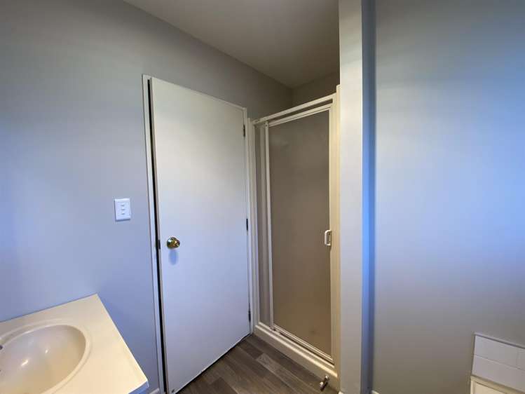 11a Strickland Street Sydenham_7