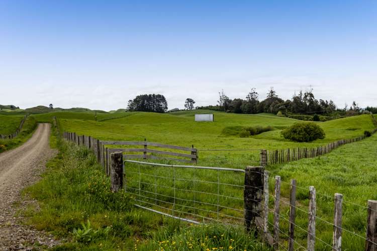 246 Kupara Road Inglewood_1