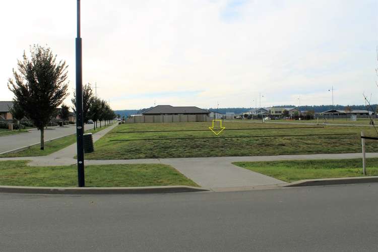 73 Mary Ellen Street Pegasus_3