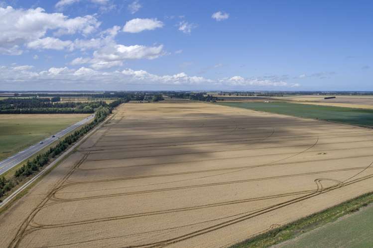 193 Coplands Road Chertsey_6