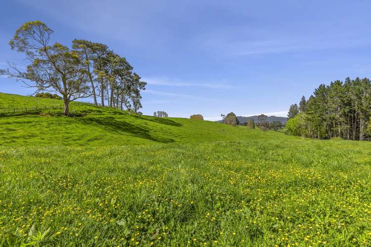 24 Rowe Road Whatawhata_10