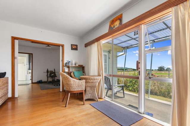 56 Harris Street Te Puke_3