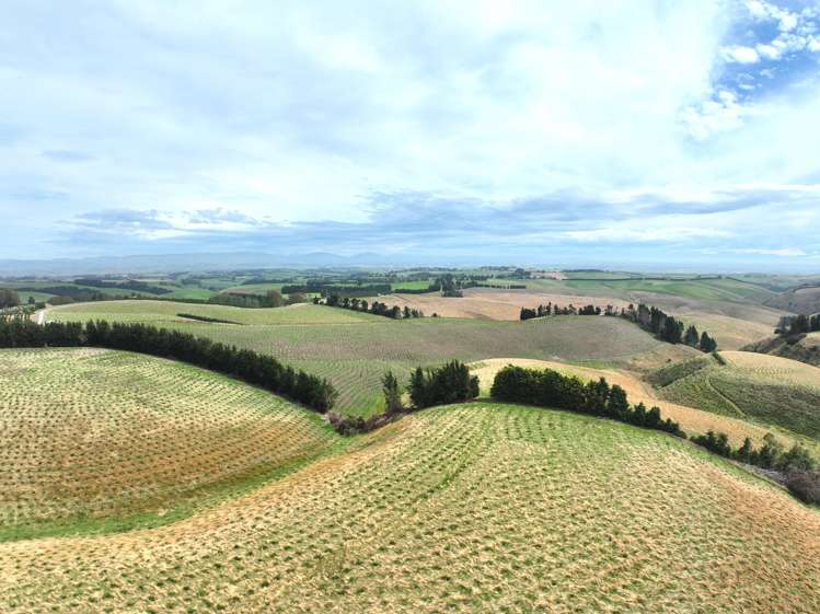 174 McCulloch Road Awamangu_14