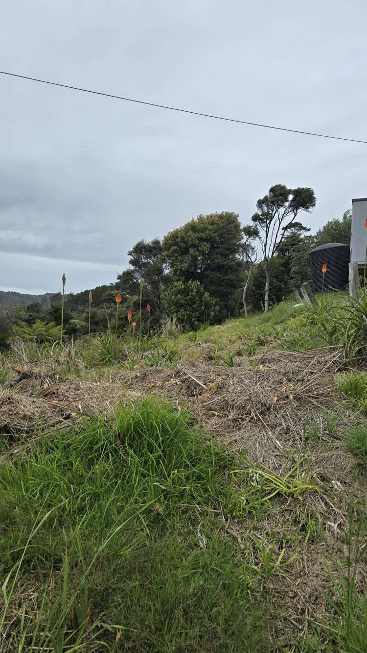 540b Medland Road Great Barrier Island_17