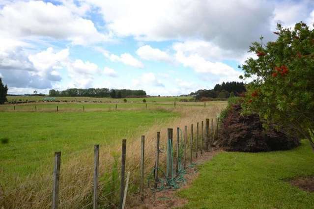 505 Waimate North Road Kerikeri_1