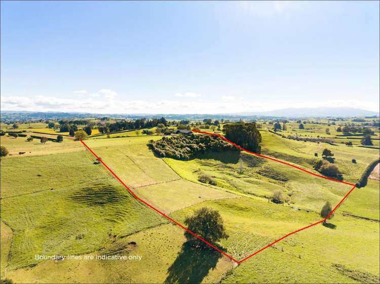 91 Mangaorongo Road Otorohanga Surrounds_41