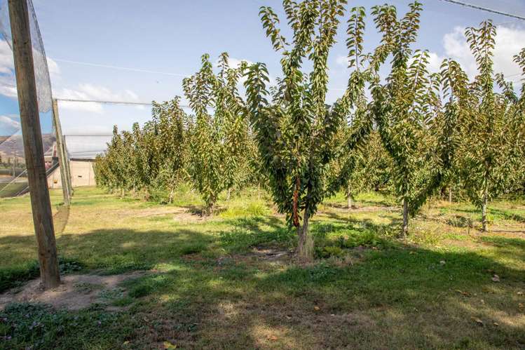 244A Ripponvale Road Cromwell_20